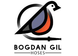 Bogdan Gil